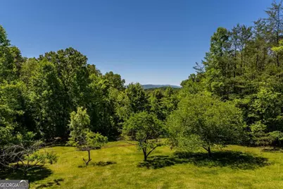 229 Old Mill Pond Road, Mineral Bluff, GA 30559 - Photo 58