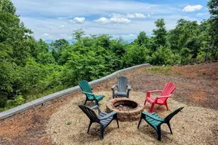 860 Ramey Mountain Rd, Hiawassee, GA 30546 - Photo 42