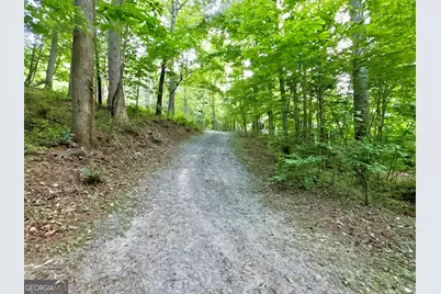 Lot 5 Spiva Cove, Blairsville, GA 30512 - Photo 28