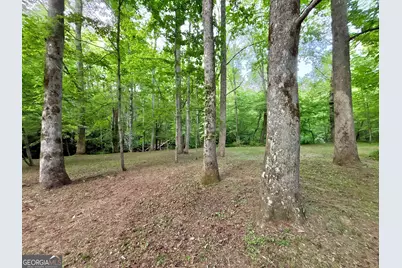 Lot 5 Spiva Cove, Blairsville, GA 30512 - Photo 34