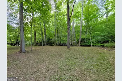 Lot 5 Spiva Cove, Blairsville, GA 30512 - Photo 38