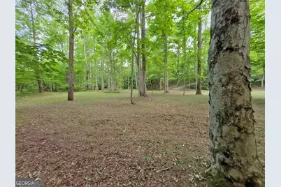 Lot 5 Spiva Cove, Blairsville, GA 30512 - Photo 42