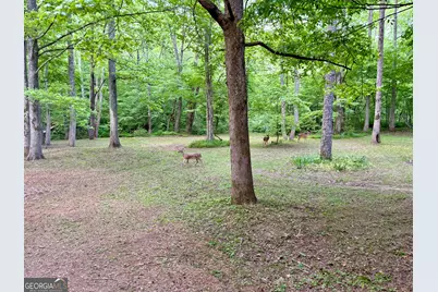 Lot 5 Spiva Cove, Blairsville, GA 30512 - Photo 18