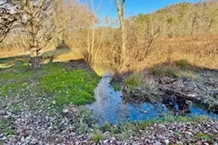 462 River Vista Dr, Dillard, GA 30537 - Photo 20