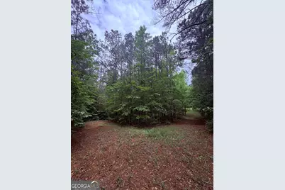 0 Primrose Circle, Greenville, GA 30222 - Photo 12