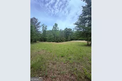 0 Primrose Circle, Greenville, GA 30222 - Photo 8