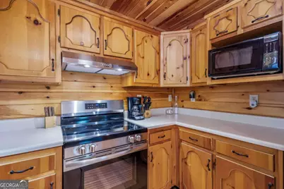 220 Blue Ridge Trails #217, Morganton, GA 30560 - Photo 30