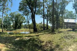 0 Eagles Point, Surrency, GA 31563 - Photo 8