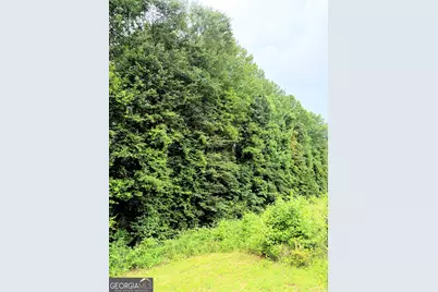 0 Toccoa Road, Carrollton, GA 30116 - Photo 4