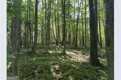 3498 Mud Creek Road, Cornelia, GA 30531 - Photo 22