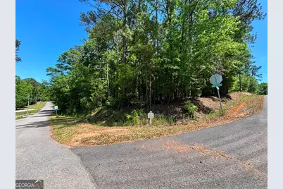 Lot 663 Foxglove Drive, Sparta, GA 31087 - Photo 2