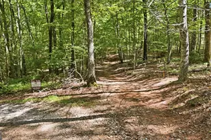 95 Black Bear Trl, Cleveland, GA 30528 - Photo 1