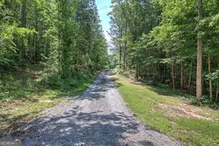 1084 Shahan Ln, Lafayette, GA 30728 - Photo 54