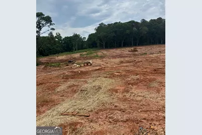 0 West Avenue, Lavonia, GA 30553 - Photo 2