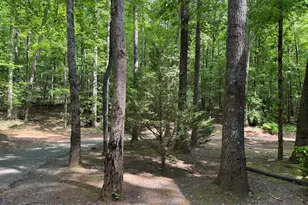 744 Sky Lake Rd, Sautee Nacoochee, GA 30571 - Photo 8