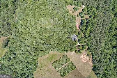 230 Haynes Road, Moreland, GA 30259 - Photo 34