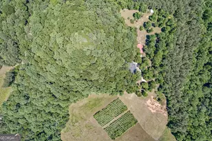 230 Haynes Rd, Moreland, GA 30259 - Photo 34