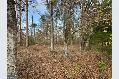 74 Community Church Road, Mc Rae Helena, GA 31037 - Photo 30