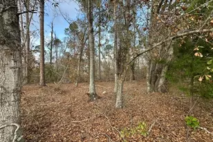 74 Community Church Rd, Mc Rae Helena, GA 31037 - Photo 30