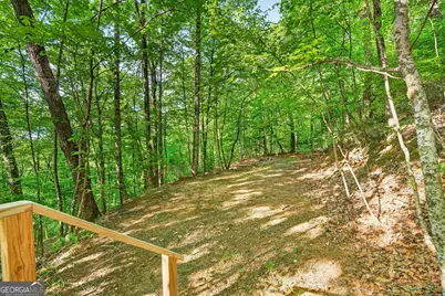 93 Martin Crossing, Cherry Log, GA 30522 - Photo 30