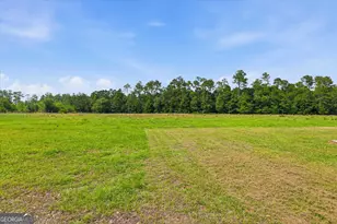 1525 Myron Hart Rd, Coolidge, GA 31738 - Photo 44