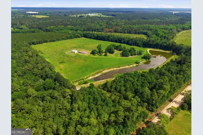 1525 Myron Hart Road, Coolidge, GA 31738 - Photo 52