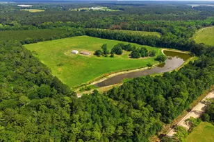 1525 Myron Hart Rd, Coolidge, GA 31738 - Photo 52
