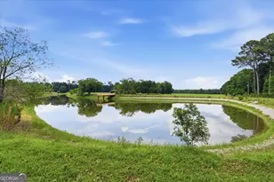 1525 Myron Hart Rd, Coolidge, GA 31738 - Photo 36