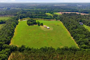 1525 Myron Hart Rd, Coolidge, GA 31738 - Photo 54