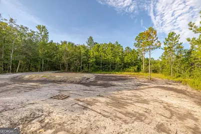 425 Emanuel Church Road, Brunswick, GA 31523 - Photo 30