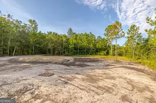 425 Emanuel Church Rd, Brunswick, GA 31523 - Photo 30