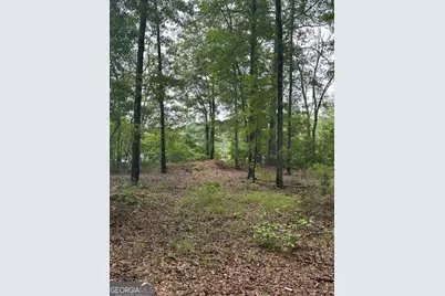 Lot 7 Browns Lake, Sparta, GA 31087 - Photo 12