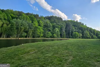 3800 Cutcane Road, Mineral Bluff, GA 30559 - Photo 12
