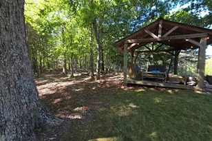 854 Rizzitello Ln, Blairsville, GA 30512 - Photo 42