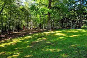 854 Rizzitello Ln, Blairsville, GA 30512 - Photo 44