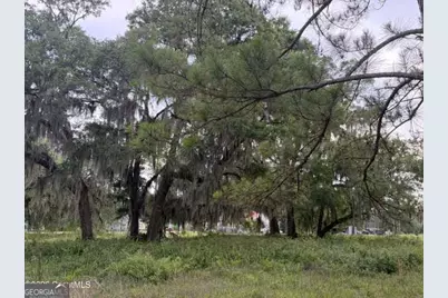 119 Sapelo Circle LOT #38, Darien, GA 31305 - Photo 1