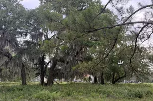 119 Sapelo Cir, Darien, GA 31305 - Photo 1
