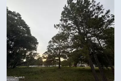 119 Sapelo Circle LOT #38, Darien, GA 31305 - Photo 2