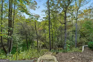 600 Forest Pine Dr, Ball Ground, GA 30107 - Photo 36