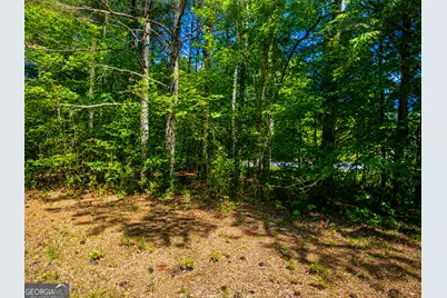 5 Acres Stanfield Drive, LaFayette, GA 30728 - Photo 4