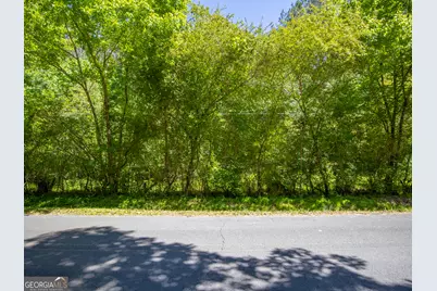 5 Acres Stanfield Drive, LaFayette, GA 30728 - Photo 8