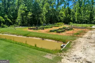 466 Bear Branch Rd, Kathleen, GA 31047 - Photo 94
