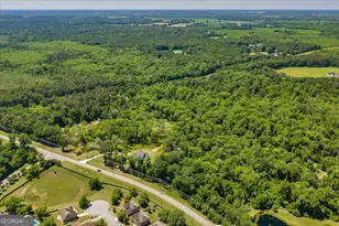 466 Bear Branch Rd, Kathleen, GA 31047 - Photo 120