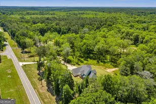 466 Bear Branch Rd, Kathleen, GA 31047 - Photo 114