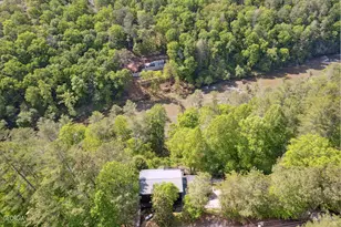 462 Lyric Ln, Ellijay, GA 30540 - Photo 60