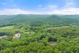 286 Frances Dr, Ellijay, GA 30536 - Photo 64