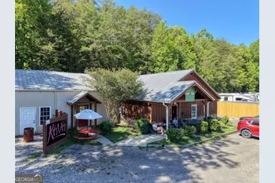 6009 E Hwy 515/76, Blairsville, GA 30512 - Photo 12