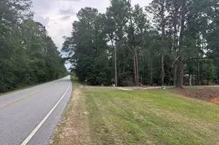 20150 Lake Church Rd, Metter, GA 30439 - Photo 8