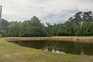20150 Lake Church Rd, Metter, GA 30439 - Photo 6