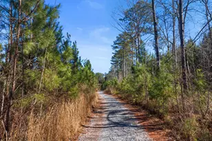 700 Ga Hwy 87, Flovilla, GA 30216 - Photo 60